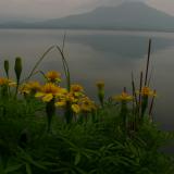 Nearby the serene lake right on the northern part of Bali.